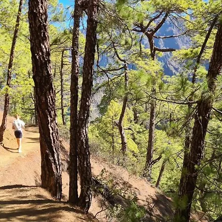 酒店 Casa Piedras Blancas With Private Garden 埃尔帕索